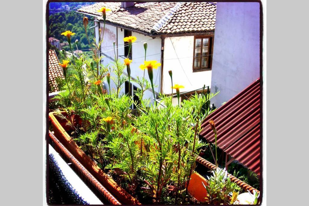 Authentic Guest Stay In The Heart Of Veliko Tarnovo Студио С Изглед Към Царевец エクステリア 写真