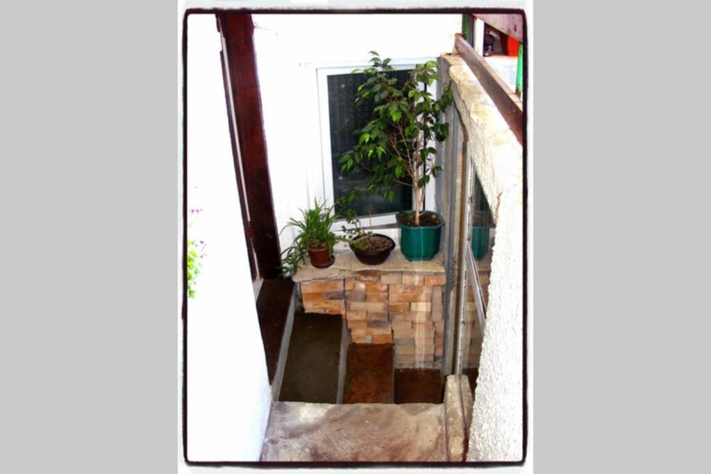 Authentic Guest Stay In The Heart Of Veliko Tarnovo Студио С Изглед Към Царевец エクステリア 写真